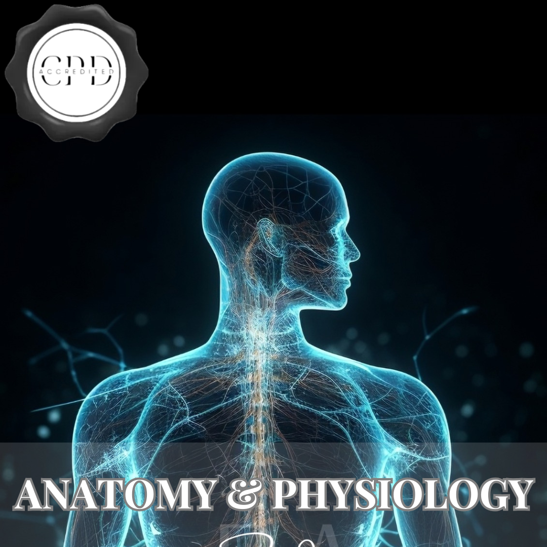 Portuguese- Anatomia e Fisiologia Nível 4 - Prado Academy International